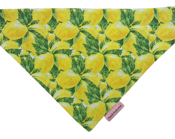 Lemon Bandana