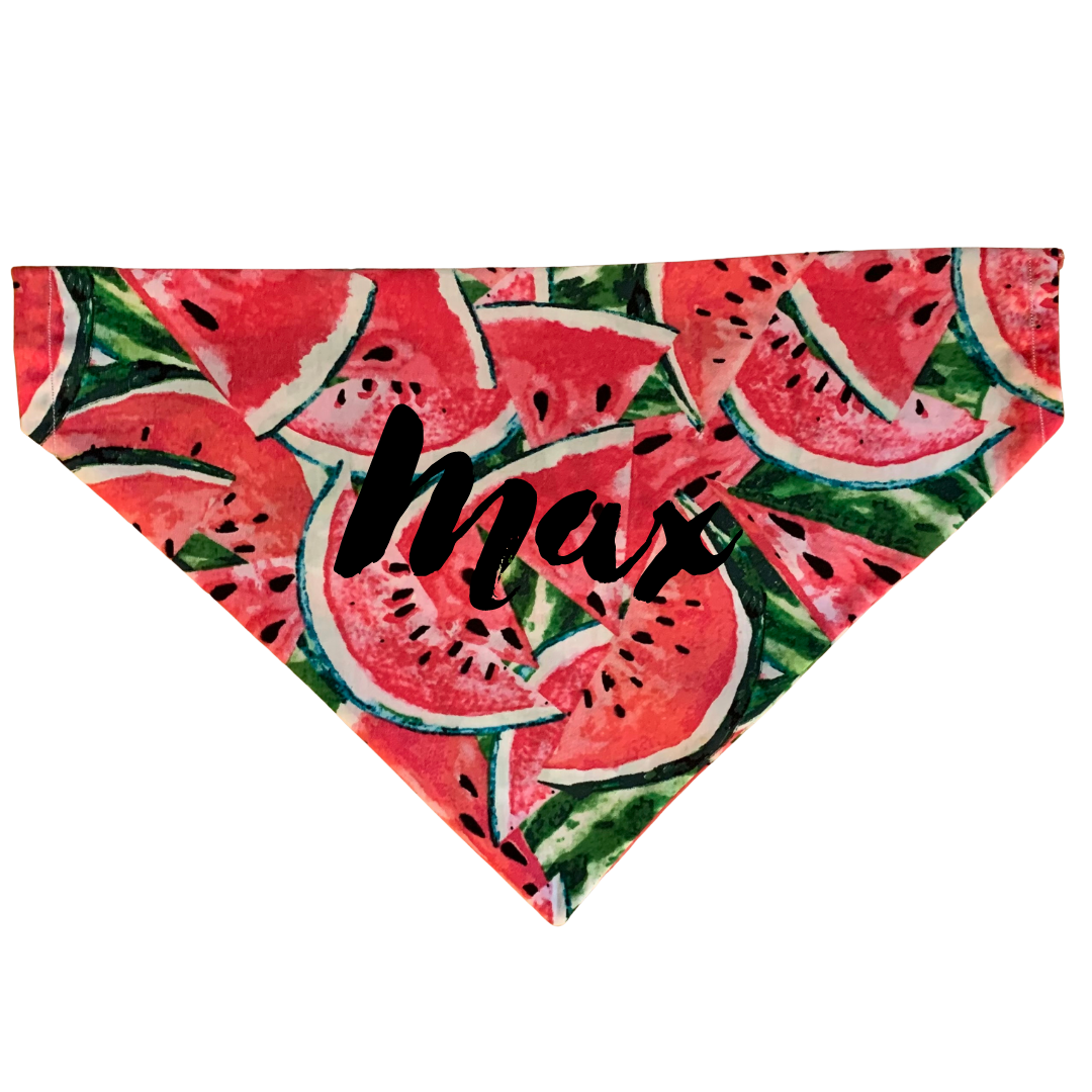 Watermelon Bandana