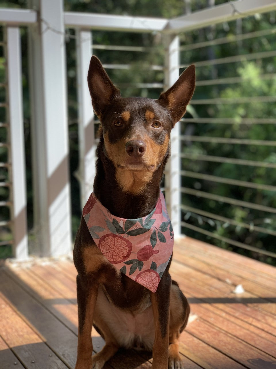 Pomegranate Dog Bandana