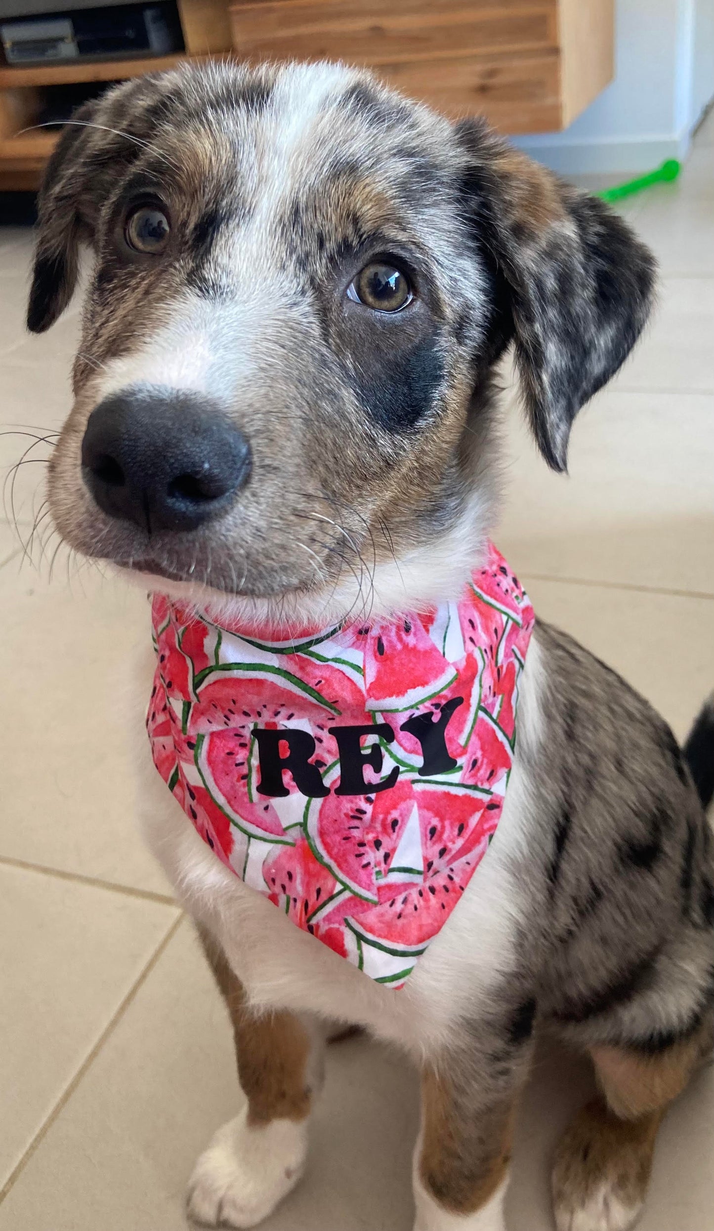 Watermelon Bandana