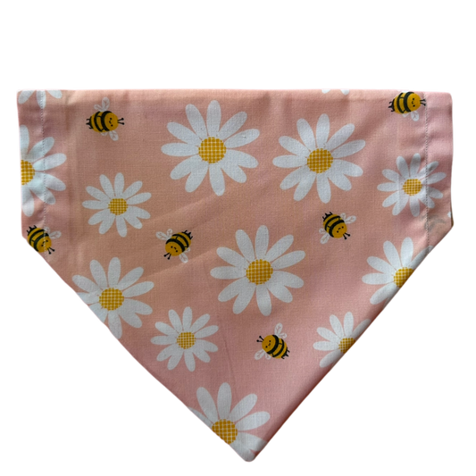 Daisy & Bee Peach